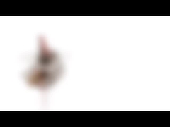 motor deslizante 5VDC 10BY25 PM Mini Stepping Motor do micro de 10mm